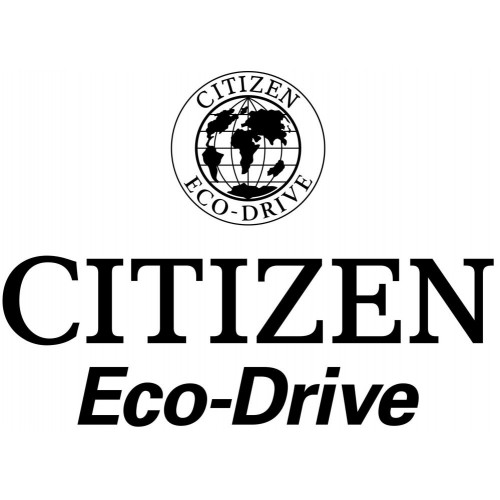 Zegarek CITIZEN CB5920-86E