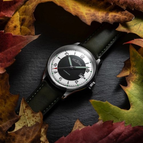 Zegarek DELBANA 41603.722.6.149