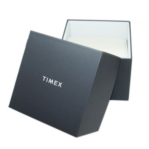 Zegarek TIMEX TW5M61200