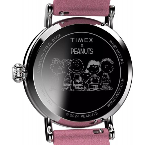 Zegarek TIMEX TW2W88900