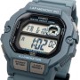 Zegarek CASIO WS-1400H-2AVEF