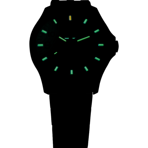 Zegarek TRASER TS-107868